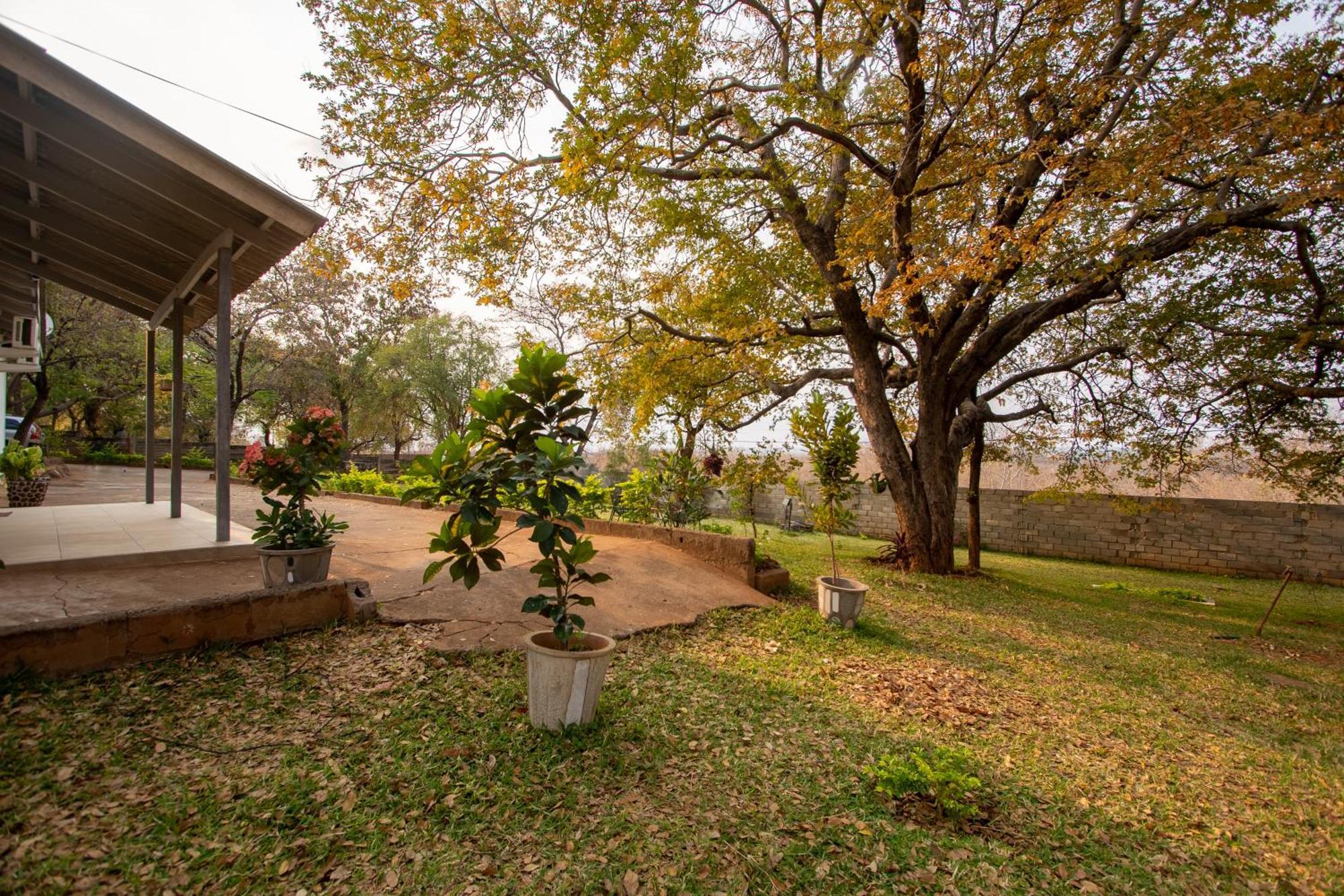 Wood Road Guest Lodge Καταρράκτες Βικτωρίας Εξωτερικό φωτογραφία